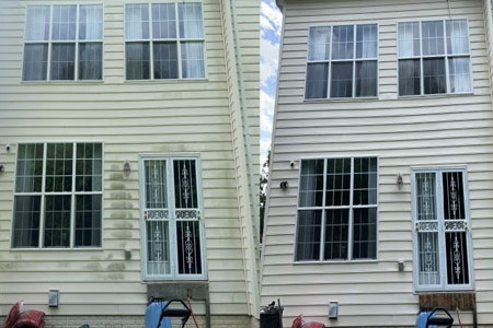 The Dangers of Mold and Algae Buildup on Siding